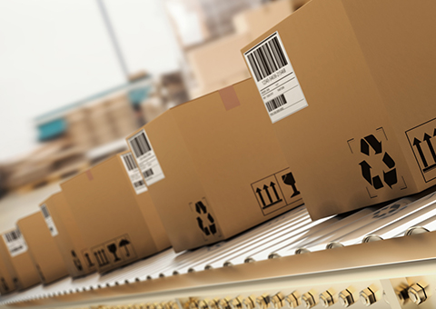 成套自動(dòng)化包裝+倉(cāng)儲(chǔ)