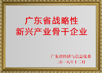 廣東省戰(zhàn)略性產業(yè)骨干企業(yè)（2018年12月）