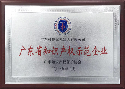 廣東省知識(shí)產(chǎn)權(quán)示范企業(yè)