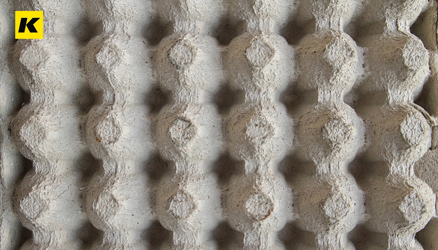 淺談廢紙?jiān)偕诎b領(lǐng)域的應(yīng)用