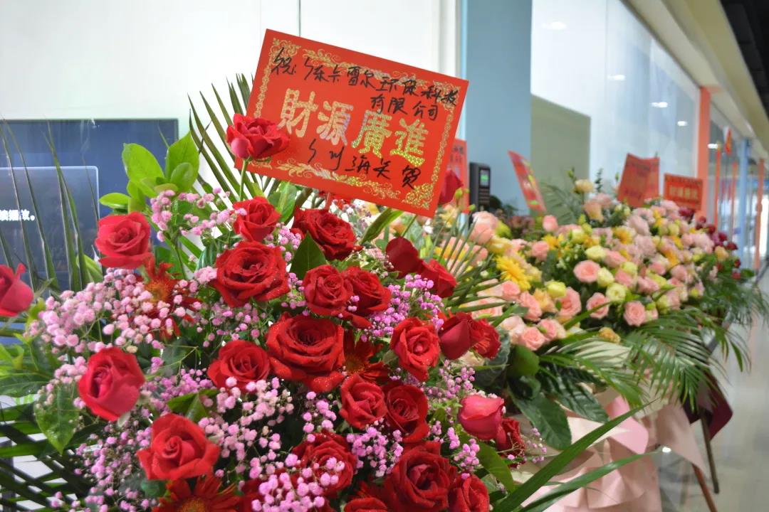 跑出世界速度，環(huán)保紙模先行者卡雷爾落地南沙